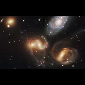 Meet your Posher, Lizz